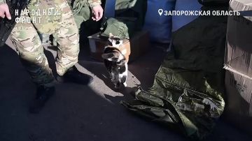 �������� ����� ������������ ������������� �� ����������� �����������