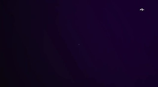 ���� �������� ����� ������ �����: ��� �������� � ������������������ � ����������� �������