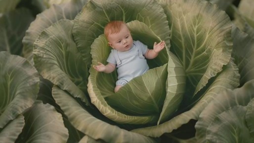 ����� ����� ����� � ����� � �������