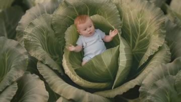 ����� ����� ����� � ����� � �������