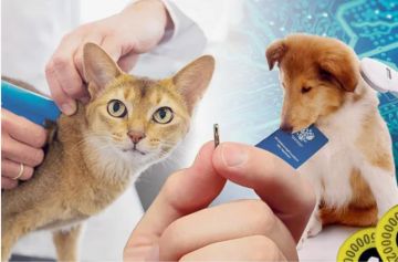 ������������ � ���������� ��� ����������� �������� �������� ���������� � ������� �� ��������� ������