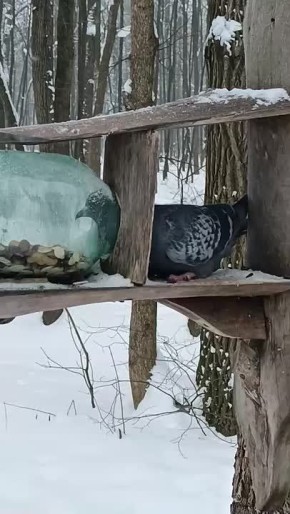 �������� ���� ������ � ������ �������