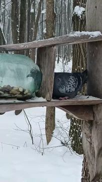 �������� ���� ������ � ������ �������