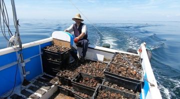 ������ ����������� � �������� ���� �������� ��������� �� ������ ����