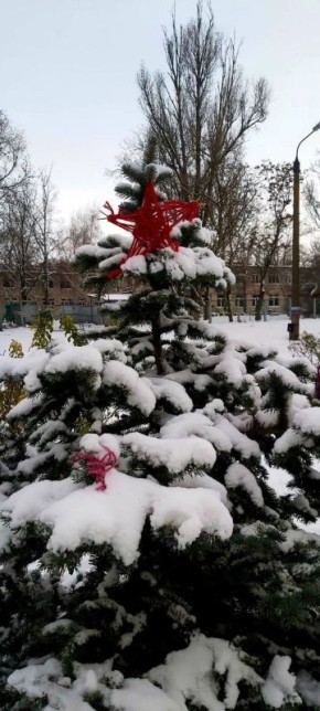 � ������ �����, � ����������� ����!