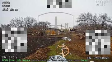 ����������� �����������. ����� �.�.�����������