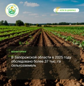 � ����������� ������� � 2025 ���� ����������� ����� 37 ���.�� �������������