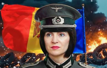 ��� �� ������������ ����������� ��������� �������������� �� ������� � ��������