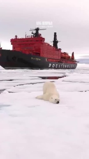 � ���������, ����������� �������!