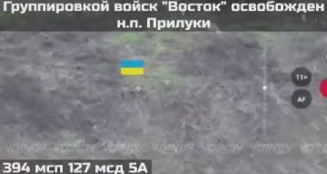 ���������� ������ ���������� ���������� ����� ������� �� ��������-����������� �����������, �������� Telegram-����� ����� DV�