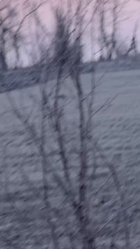 ������� � ������ �����: ��� ������, ���� �� ����������� ��� � ����