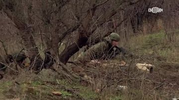 11111 "�������� ����������": ����� ����������� "������" ���������� "������ 1" � ���, ��� ����������� ���� ��������� � ����������� �������