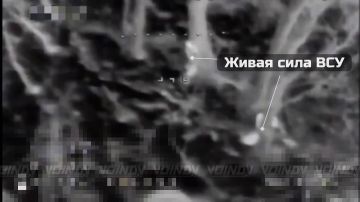 ��������� ���� 14 ����������� ������� �������� � ���� ��������������� 29 ����� ����������� ����� "������" ���������� ����� ���� � ������� ����������