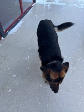 � ������ ������ ������ �������! ������ ���������� � ������������!