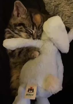 � ��� � �����. ���������� ������������ � ��������