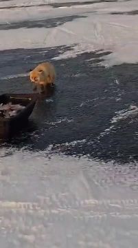 ���������� ���������� ������ � ������ �������