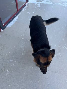 � ������ ������ ������ �������! ������ ���������� � ������������!