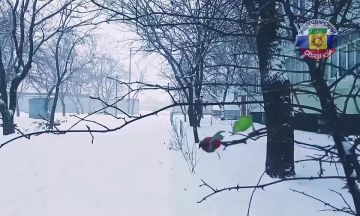 � ������ �����, ������.. ����� ������� ���������� ������ ������� ������� ������ ������ ������������, �� ����� ������� ����������� ������� �����, ������� �������� ����������� �������