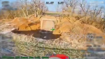 ������ �������: � ����������� ������� ��������� ���� ����� ����������� ������ ����������� ������� ���������� ���������� �������������� ��������� �������� ����������