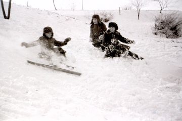 ���� �������: ������� ��� ���������� � ��������