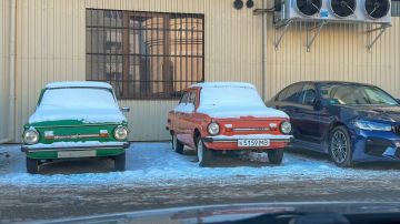 "���������" �� ��������� ������� ����� ����� � ����� �� ������ ��������