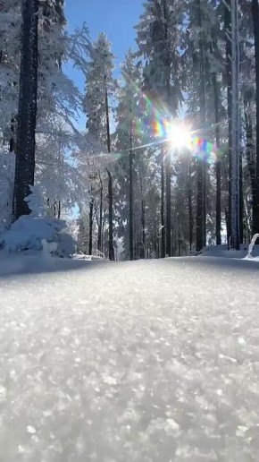 ������ ����!. ������� � �����������, 18 ������, � ���� ������� ���� �����, �� ��������