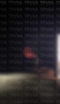 ���� ����� ������� �������� � �����������, �����������, ����������������, ������������ �������� � �� ��������