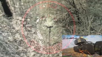 ����������� �����. ���������� �����������