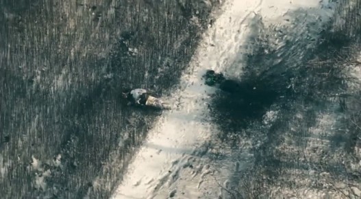 ���������� ������ ��������������� ��� ������ ���������� ����������� FPV-����� �� ����������� �����������