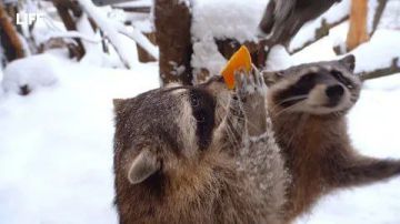 ������ ����, ������! �������� ��� ��� � ��������� ����������!