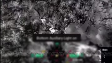 ����� ������ ������ ������� �� ������� �������� ����� �� ������������� �����������