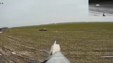 ��������� 5 ����� ����������� ����� "������" ���������� ����������� ����������� ������� ���������� � ����������� �������