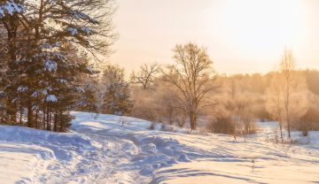 ������ ����. � �� �����, ��� �������