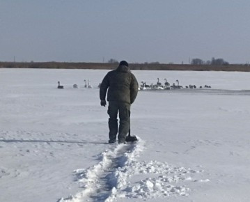 ������������� ������ ������� ������� �� ���������������� � �.�������