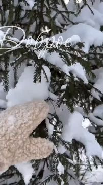 ������� ����, ������� ������������!!!