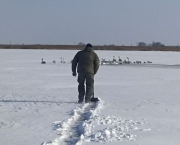 ������������� ��������� ������� ������� �� ��������� ������� � �.�������