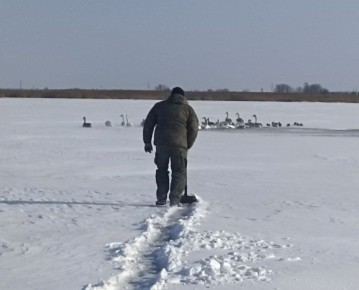 ������������� ��������� ������� ������� �� ��������� ������� � �.�������