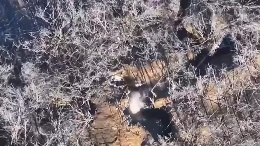 ���������� �����������.. ������ ���������� ������� ������ 4-� ������� ���� �� ��������� � �������� ��� � ������ ��.������ ������������