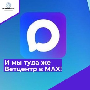 ������ �� �����, ��� �����-����!