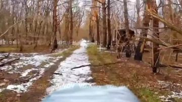 ������� ���� 14 ����������� ������� �������� ����������� ����� "������" �������� �� ������� ���, ������ ������ �� � ������� �������, ������� ��������� � �������� ������� ���������� � ����������� �������