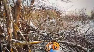 ���������� �����������.. ���� ������� �������� ���� ����������, �� �������� ����� ������������� "����" ��� �����