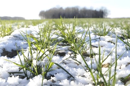 ��� ������� �������� ������� �������� �� ��������� ������ ������� � ����������� �������?