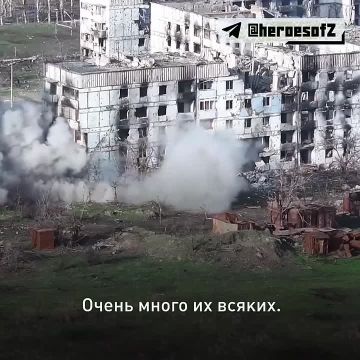 � ����� ������� � ���� ����������� �� ���������� ����������� ������������� 247-�� ������������ ��������-���������� ����� ������ ���������� �� ������������