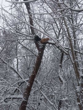 � ������ �����, � ����������� ����!