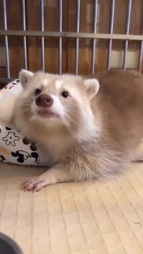 ������ ����, ������! �������� ��� ��� � ��������� ����������!