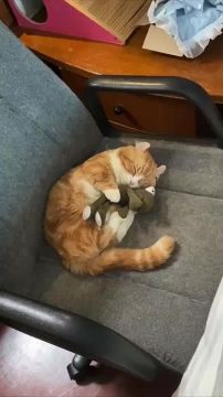 А вот и вечер. Самое время отдохнуть после работы