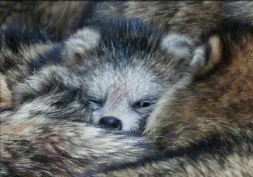 Доброй ночи, дорогие подписчики! Доброй ночи, Запорожье!