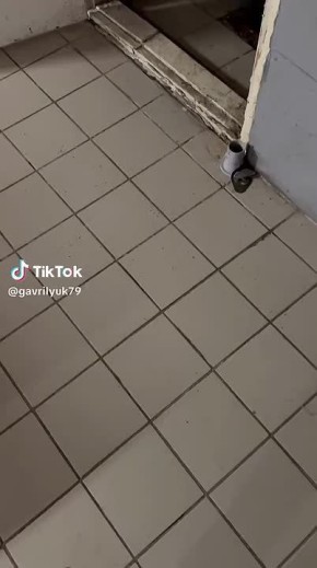 ���������� �������� ���������� ������� ���� �� ���� �����