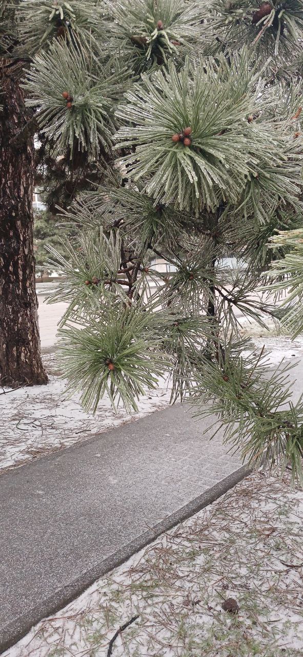 Желаем самого доброго, бодрого, счастливого, красивого, нежного, сладкого и прекрасного утра