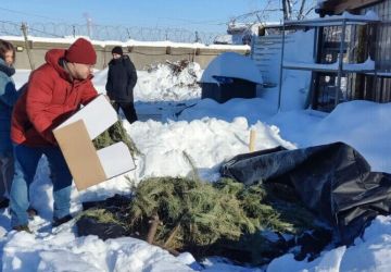 ������� � ���������� �������������� � ������������� ����� ����������